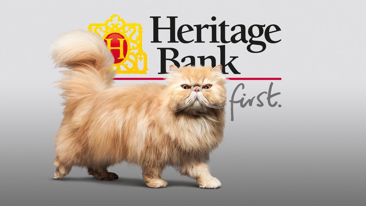 Heritage Bank - Cats First advertising campaign